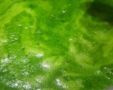 ગ્રીન ખીચું (Green Khichu Recipe In Gujarati) રેસીપી સ્ટેપ3ફોટો