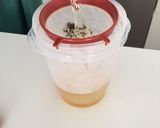 Foto del paso 3 de la receta Infusión de romero y tomillo