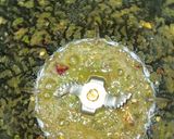 A picture of step 3 of Chatpatai.