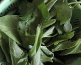 A picture of step 1 of Sham Savera / Palak Paneer Kofta.