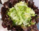 Une image de l'étape 4 de Salade de feuille de chêne à la feta et persil.