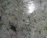 Foto del paso 4 de la receta: Gravlax de salmón