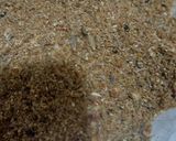 A picture of step 1 of Fried fish.