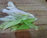 Foto langkah ke 1 dari resep Sayur pakis kuah santan...