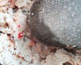 Gambar langkah 5 resipi Sambal Ikan Bunga Kantan.