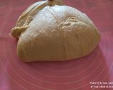 Foto langkah ke 3 dari resep 78* Adonan Roti Metode Autolisis.