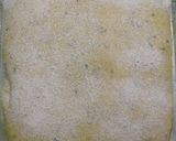 Foto langkah ke 11 dari resep Kunyit Jinten Hitam Italian Herbs Sourdough Bread (Oven Tangkring).