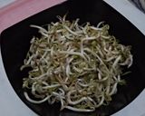 Foto langkah ke 1 dari resep Tumis Tauge Tahu (T3).