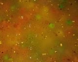 A picture of step 6 of Dalia upma.
