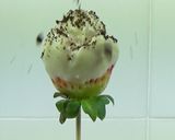 Foto del paso 4 de la receta: Rosas de chocolate blanco fáciles (3 ingredientes)