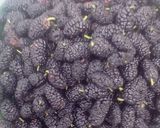 Foto del paso 1 de la receta: Dulce de moras negras !!