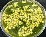 પાણીપુરી (Panipuri Recipe In Gujarati) રેસીપી સ્ટેપ2ફોટો