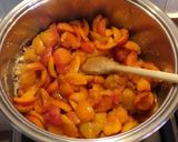 Foto del passaggio 2 della ricetta Marmellata di albicocche