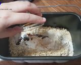 Foto del paso 2 de la receta Brownie de chocolate blanco con avellanas en panificadora
