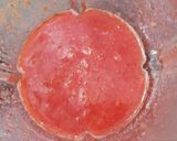 Une image de l'étape 4 de Tartelettes à la mousse de fraise.
