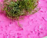 Foto del paso 4 de la receta: Raita o rahita de yogur casero y remolacha 🇮🇳