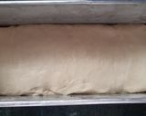 A picture of step 5 of White Bread.