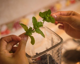 Foto del paso 1 de la receta: Agua Fresca de Fresas y Arándanos