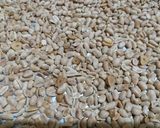 Foto langkah ke 4 dari resep 244.Kacang Bawang Oven.