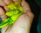 Foto langkah ke 1 dari resep Oseng Jantung Pisang Tempe.