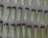 Foto langkah ke 6 dari resep Caterpillar cookies.