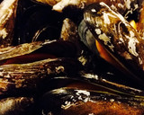 Foto del paso 5 de la receta: Mejillones con salsa de tomate al vino blanco y cayena