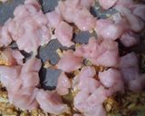 عکس مرحله 4 از دستور خوراک قارچ و مرغsolmaz