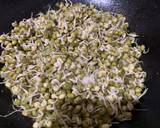 Moonga Gaathi sprouts subji Goa style recipe step 3 photo