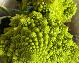 A picture of step 1 of Romanesco Broccoli with Garlic, Olive Oil, and Red Pepper Flakes.