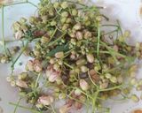 Foto langkah ke 1 dari resep Tumis bunga singkong / oseng jongob.