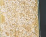 Foto del paso 4 de la receta: Pastel de papas