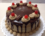 Foto del paso 8 de la receta: Torta Mousse de dulce de leche