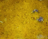 Foto del paso 10 de la receta: Albóndigas en salsa