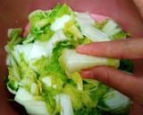 Foto langkah ke 3 dari resep Kimchi Instan, Fresh No Pasta.