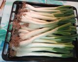 Foto del paso 7 de la receta Calçots y salsa