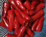 भरवा लाल मिर्च अचार (bharwa lal mirch achar recipe in Hindi) रेसिपी चरण 1 फोटो