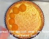 A picture of step 11 of Apricot frangipane tart.