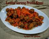 Cara Membuat Sambel Goreng PrintilKreni 5