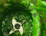 પાલક પનીર (Palak Paneer Recipe In Gujarati) રેસીપી સ્ટેપ6ફોટો