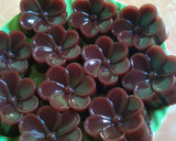 Foto langkah ke 3 dari resep Puding Coklat praktis.
