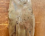 Une image de l'étape 3 de Foie gras mi cuit 🦆.
