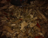 Foto del paso 5 de la receta: Tapa de empanadas casera