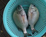 Hình bước làm 1 của món Cá hanh chiên. Canh nghêu biển nấu mồng tơi