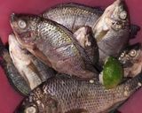 Foto langkah ke 1 dari resep 522. Pepes ikan nila.