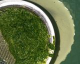 Foto langkah ke 2 dari resep Es Cendol Daun Kelor.