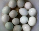 Foto langkah ke 3 dari resep Telur Asin Homemade.