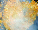 Foto del paso 5 de la receta: Estofado de otoño