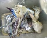 Gambar langkah 1 resipi Ketam Buttermilk Telur Masin.
