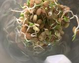 Foto del paso 3 de la receta: Germinar lentejas