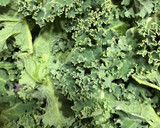 Foto del paso 1 de la receta: Snack kale 🥬